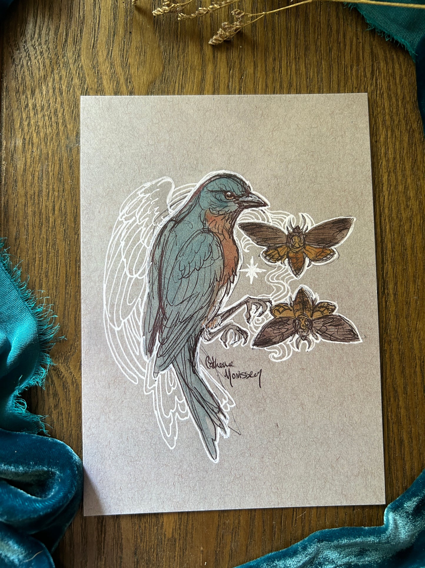 Bluebird and deaths head moth art print drawing watercolor ink dark nature decor