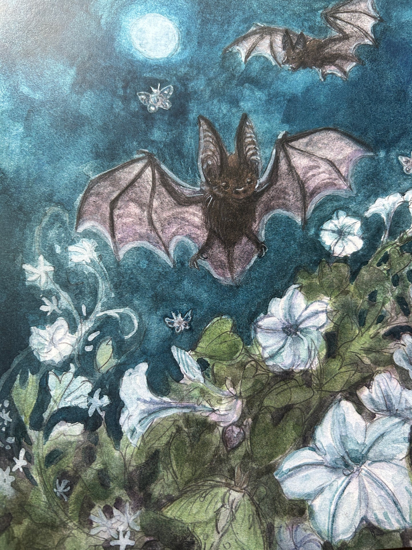 Art print-moonlit garden among bats & moths with moonflowers and star jasmine- 8x10 inches watercolor print