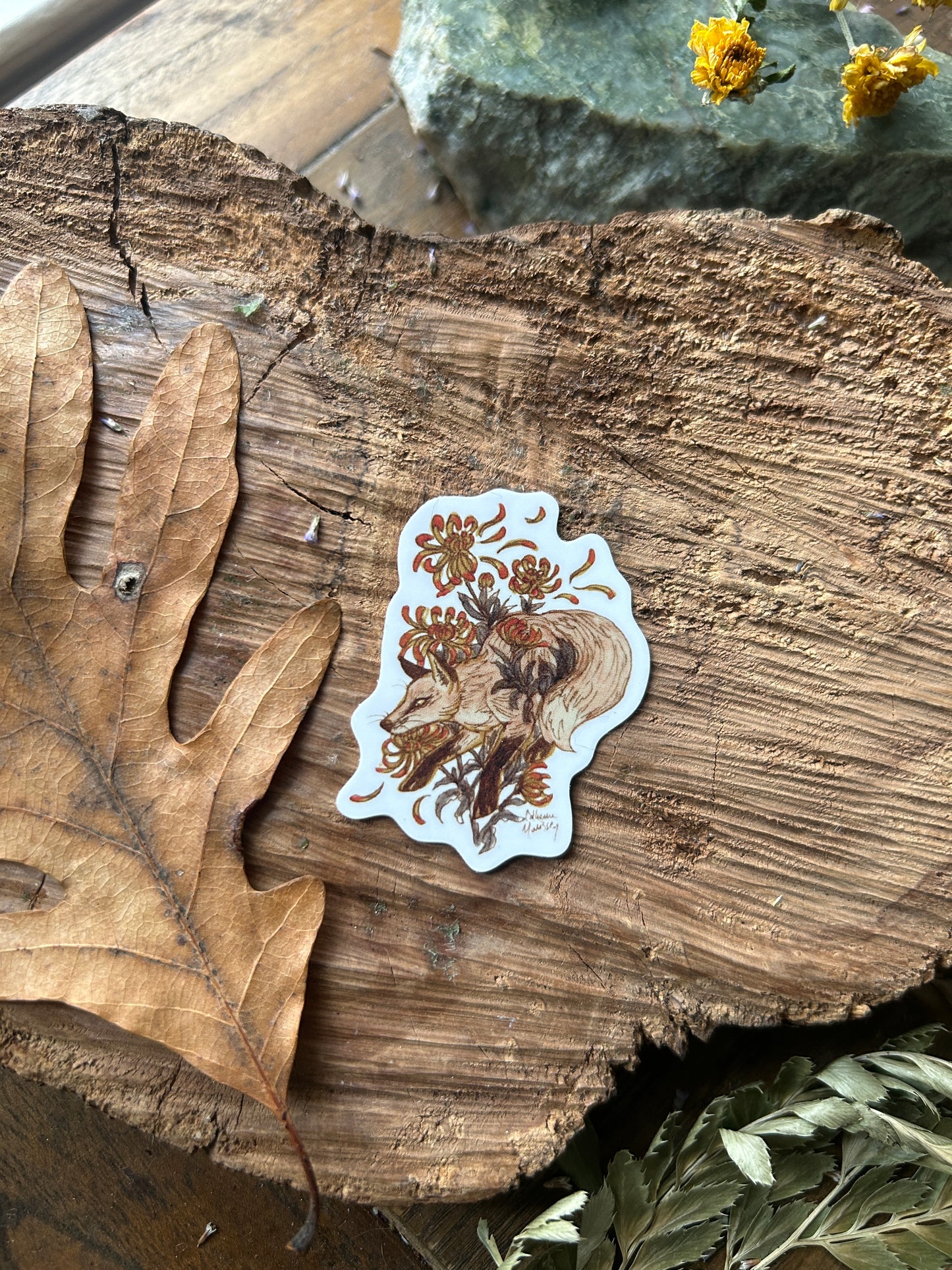 Vinyl Sticker- your choice of wisteria opposum, crow, or raccoon with snail