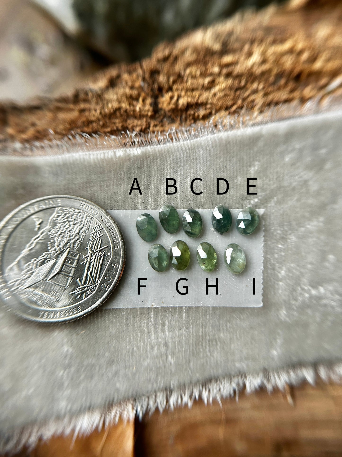 Reserved- custom woodland ring with sapphire, star sapphire, and pearl