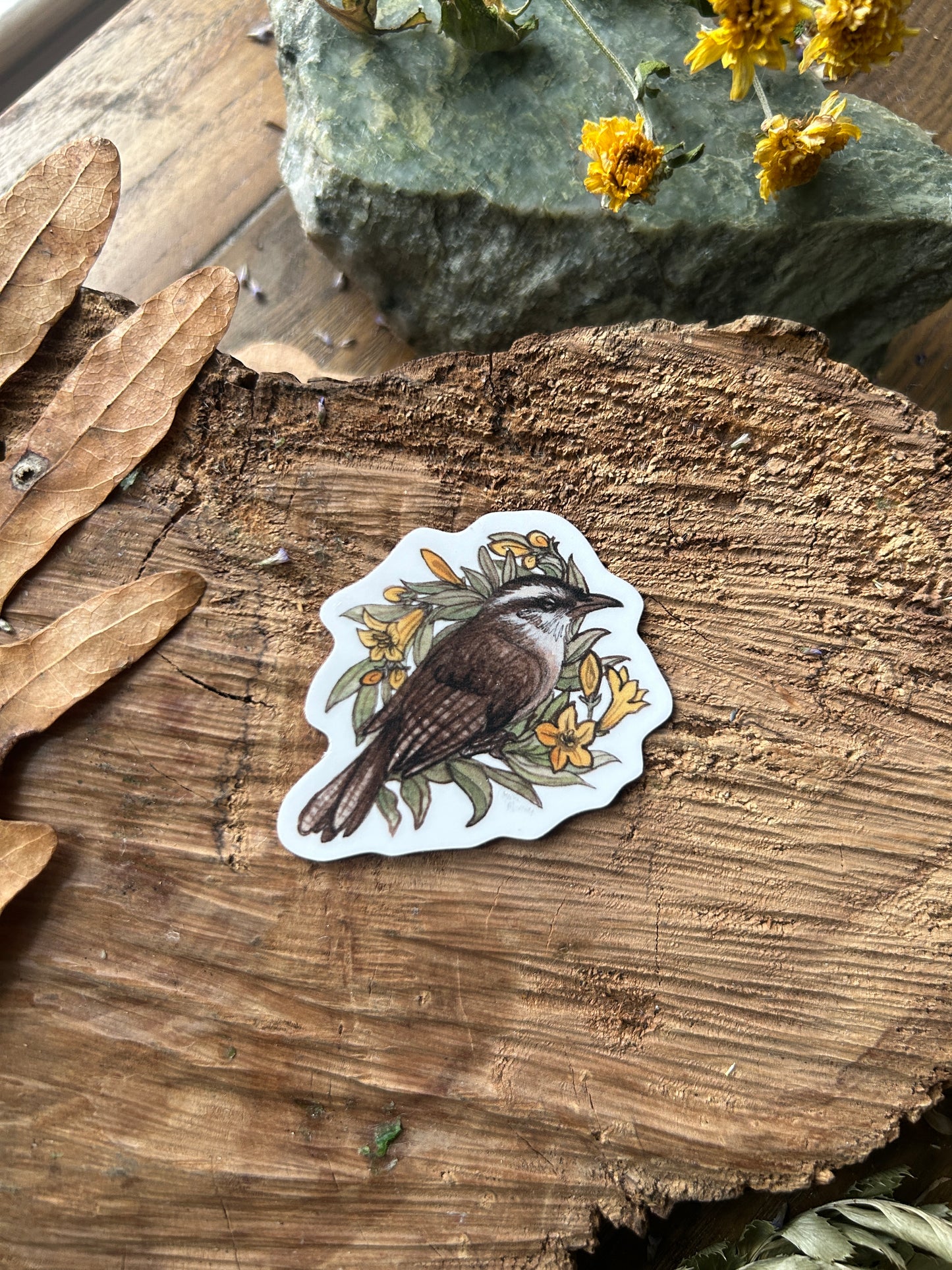 Vinyl Sticker- your choice of wisteria opposum, crow, or raccoon with snail