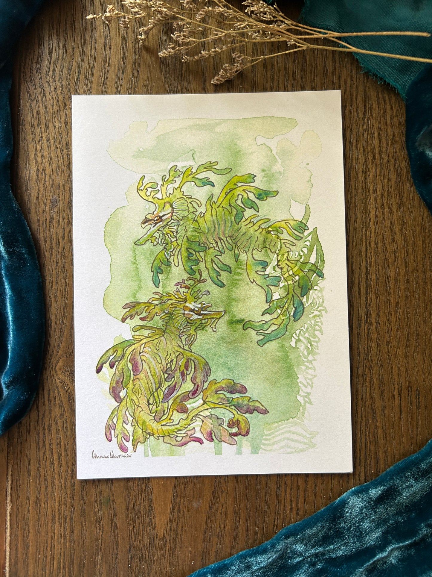 Leafy Sea Dragons art print watercolor 5-7 inches