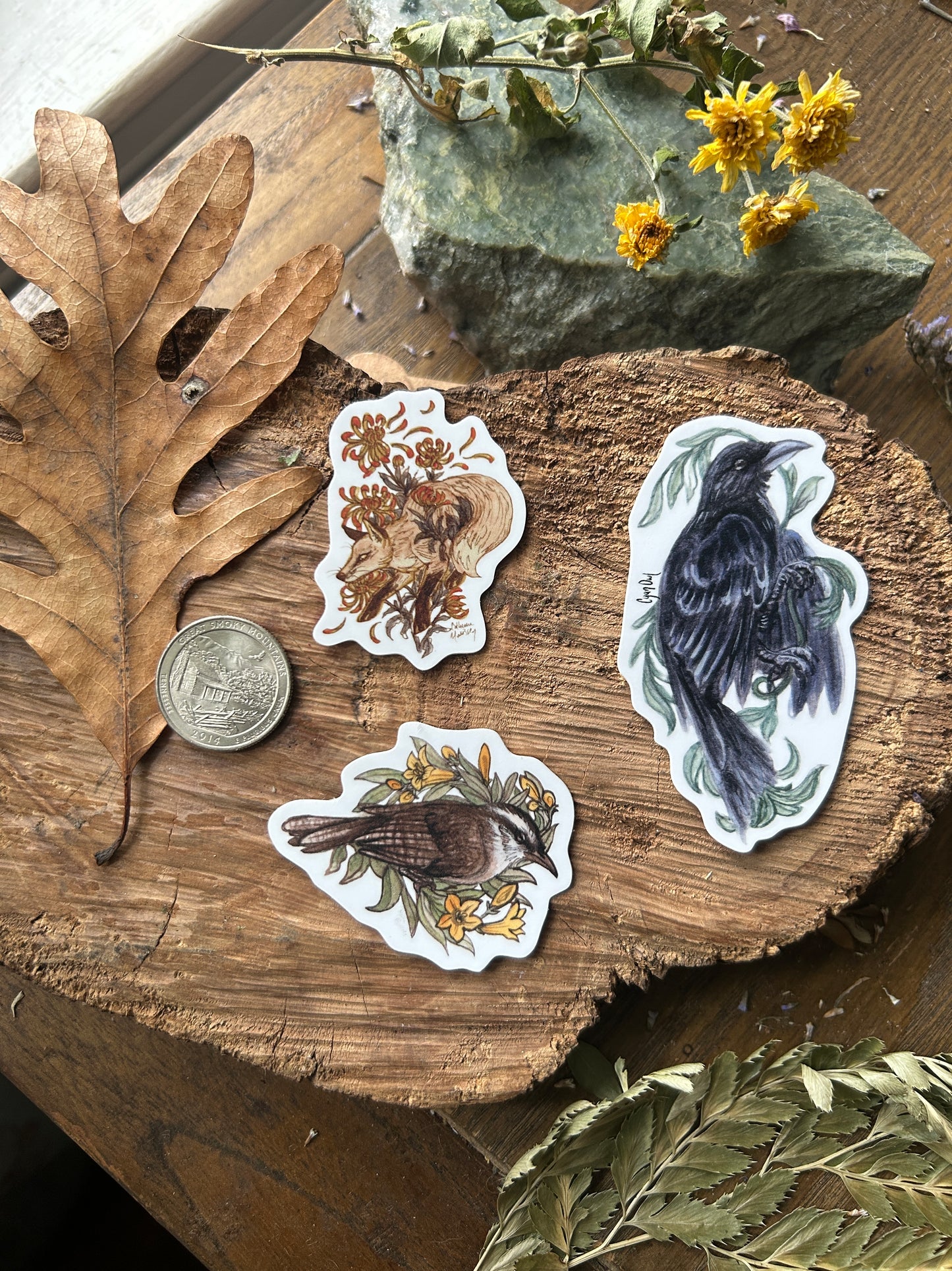 Vinyl Sticker- your choice of wisteria opposum, crow, or raccoon with snail