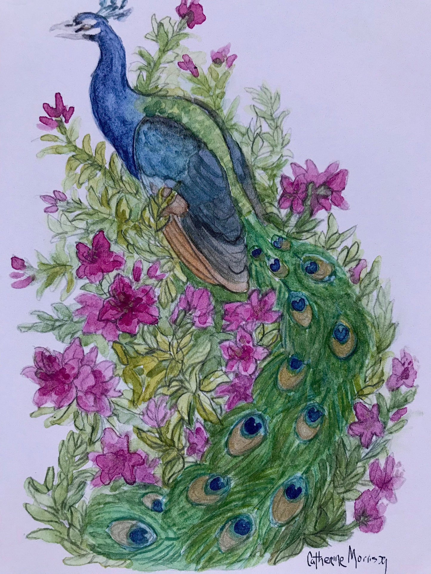 Peacock with azalea flowers art print lowcountry Charleston gardens watercolor bird art 5 by 7 inches home decor gift idea