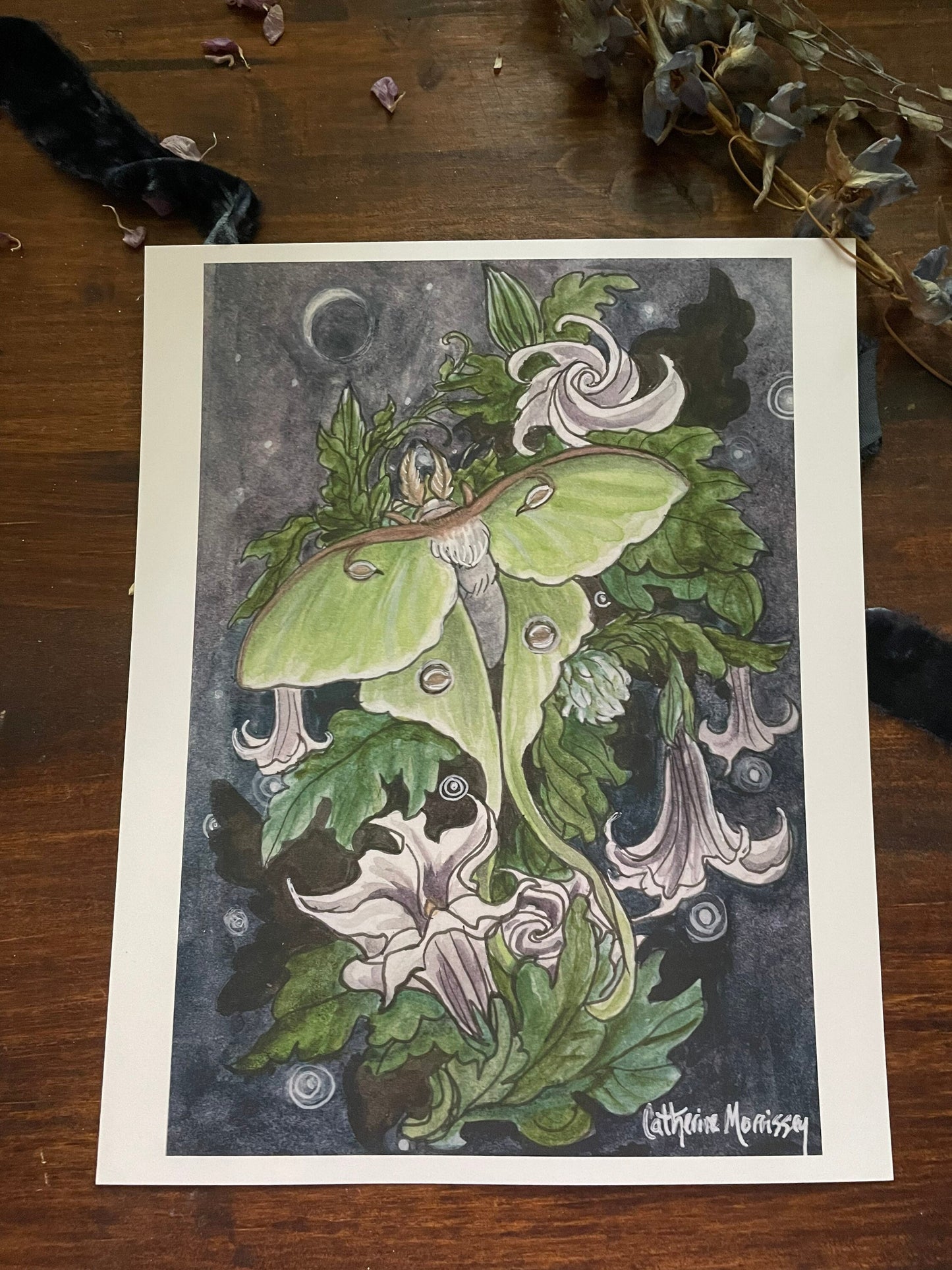 Art print luna moth and datura flowers moon night stars drawing dark watercolor wall decor home decor