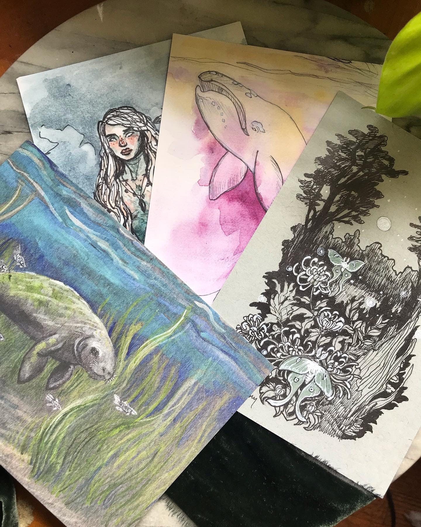 Art print luna moths in moonlit forest meadow chrysanthemum drawing watercolor wall decor home decor