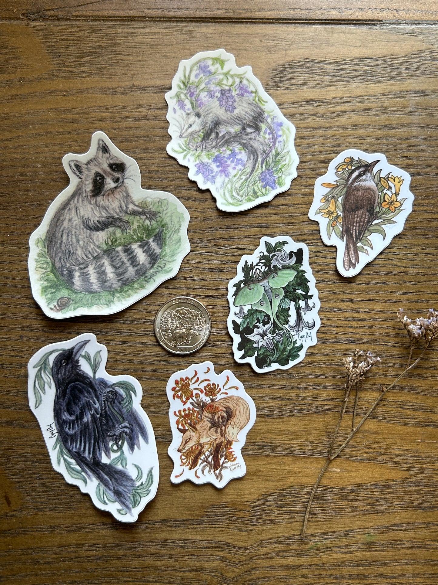 Vinyl Sticker- your choice of wisteria opposum, crow, raccoon with snail, fox, wren, Luna moth