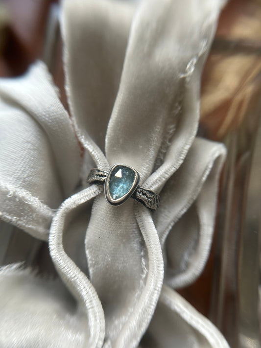 Ready to ship Dragon Ring- blue kyanite shield- sterling silver jewelry