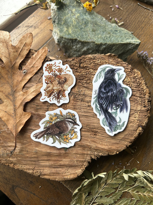 Vinyl Sticker- your choice of wisteria opposum, crow, or raccoon with snail
