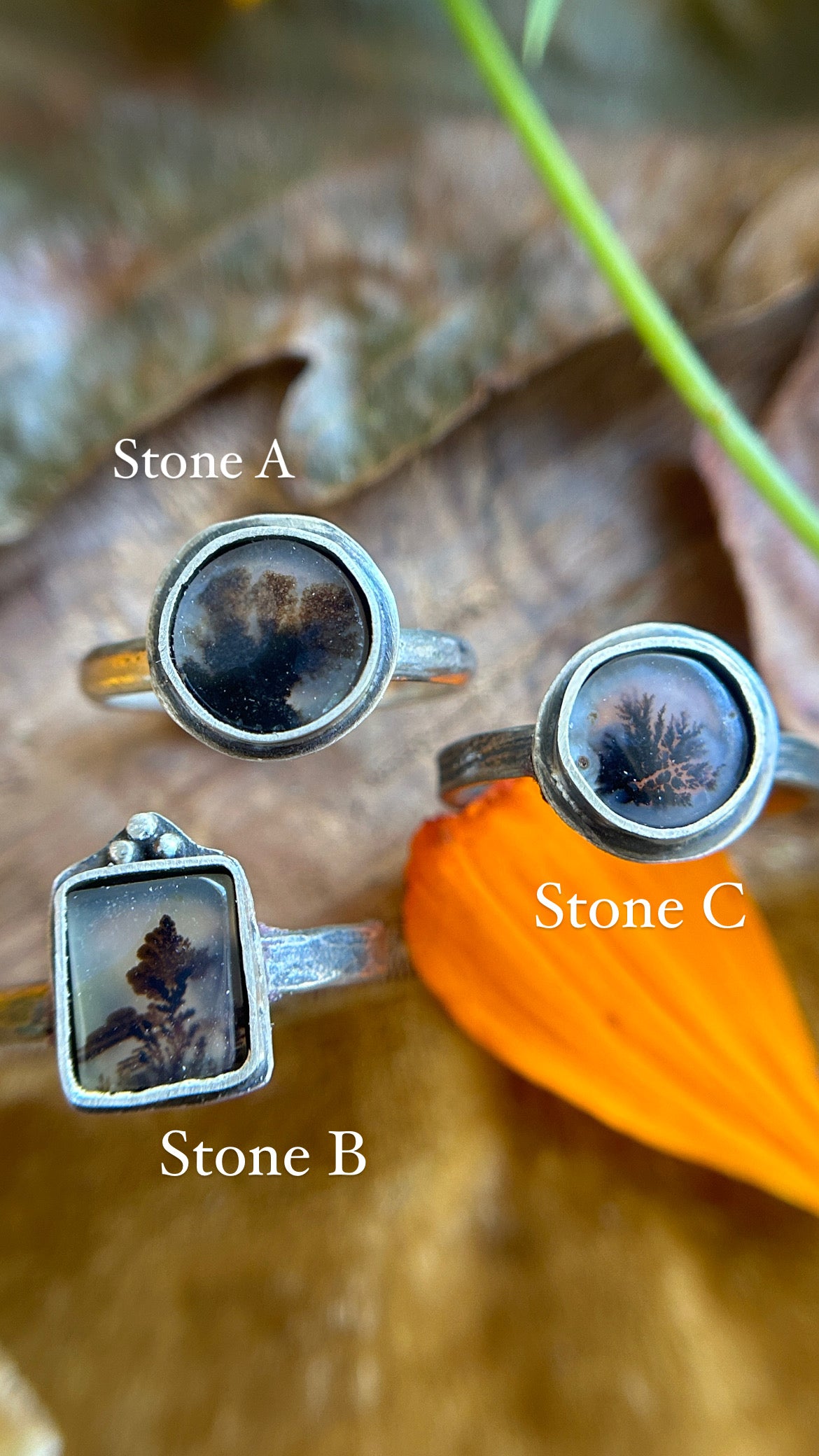 dendritic agate ring any size- sterling silver with choice of ring size and ring band