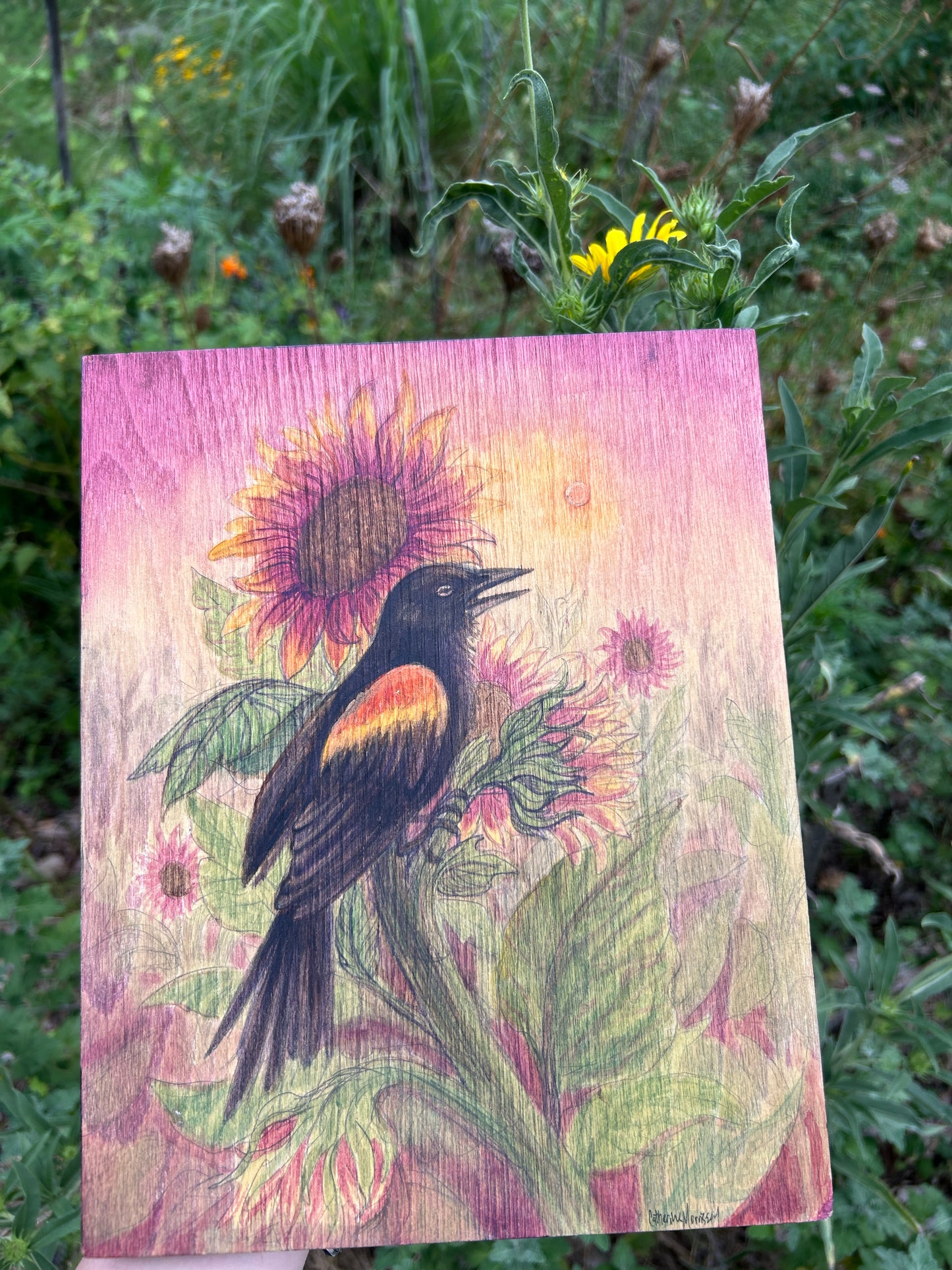 Red winged blackbird harvest sunset with sunflowers- original painting on wood panel