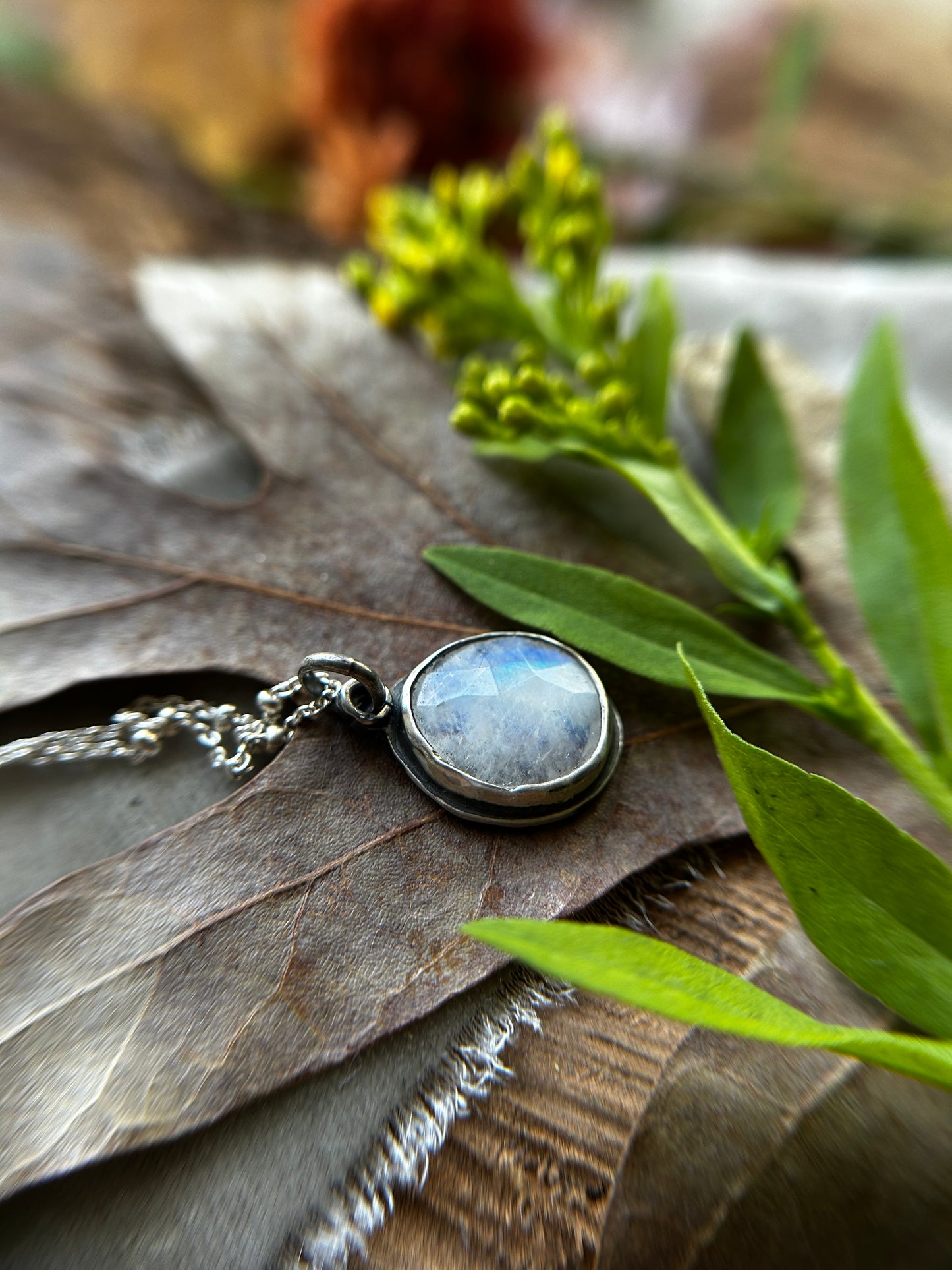 Rainbow moonstone hidden oak & acorn necklace- Sterling silver jewelry