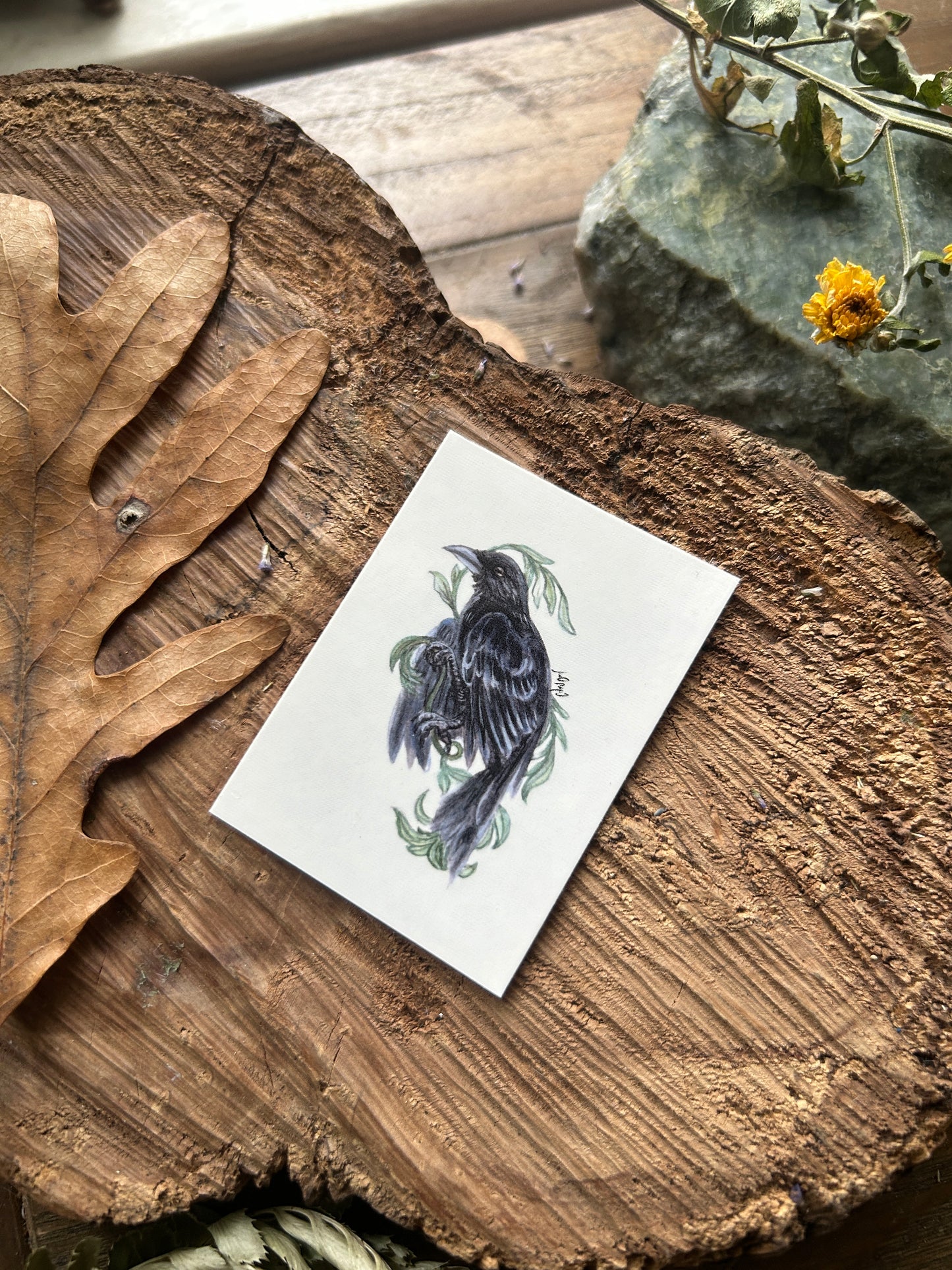 Temporary tattoo- crow bird with leafy vine