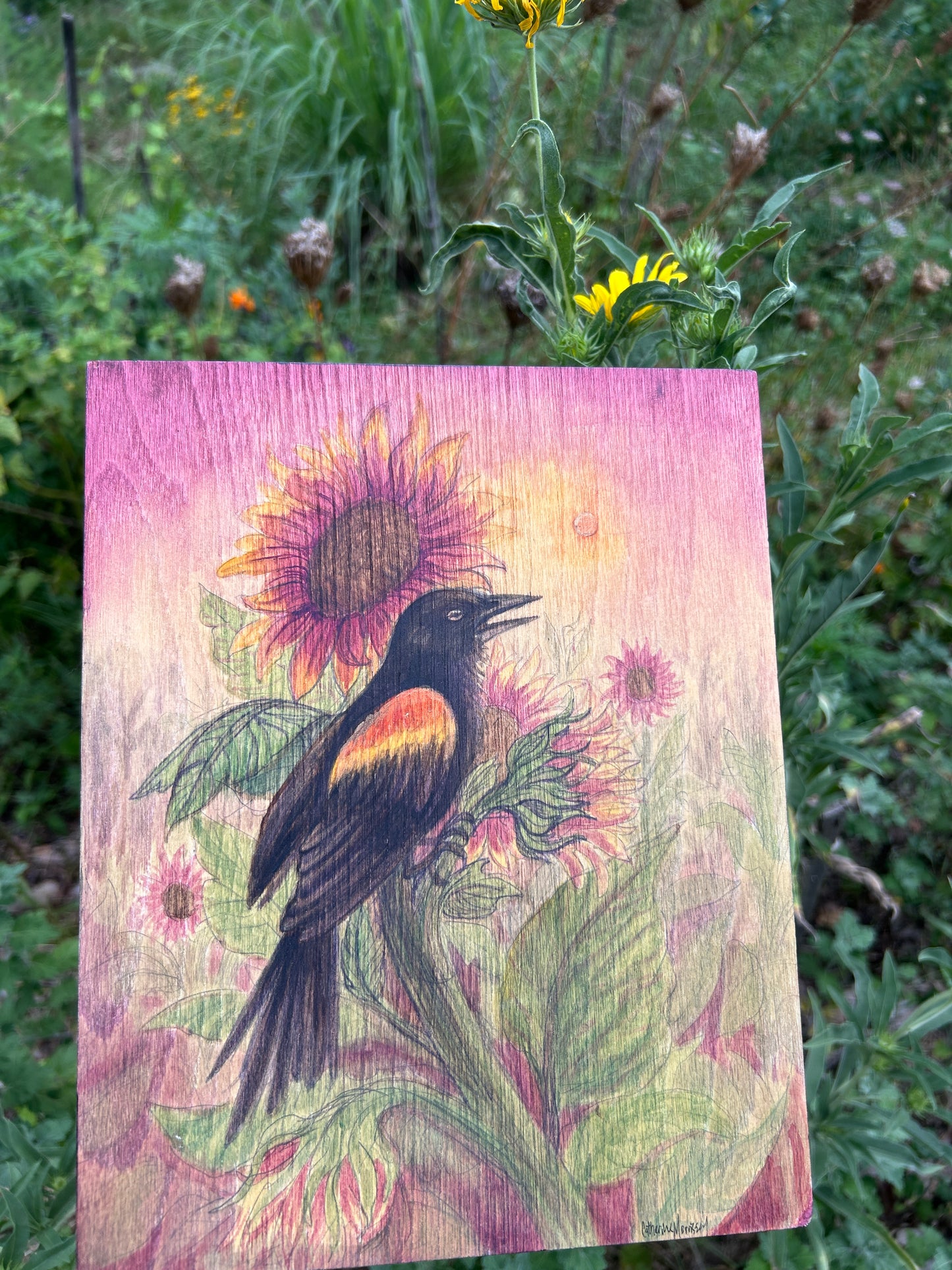 Red winged blackbird harvest sunset with sunflowers- original painting on wood panel