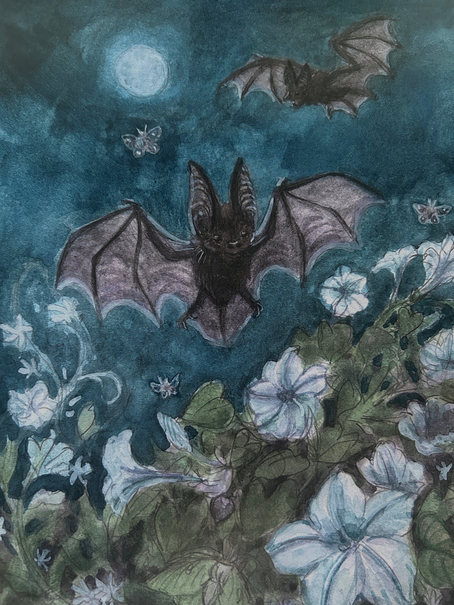 Art print-moonlit garden among bats & moths with moonflowers and star jasmine- 8x10 inches watercolor print