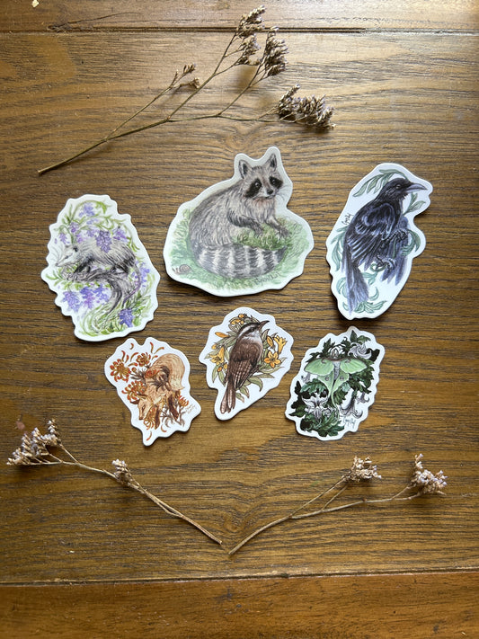 Vinyl Sticker- your choice of wisteria opposum, crow, raccoon with snail, fox, wren, Luna moth