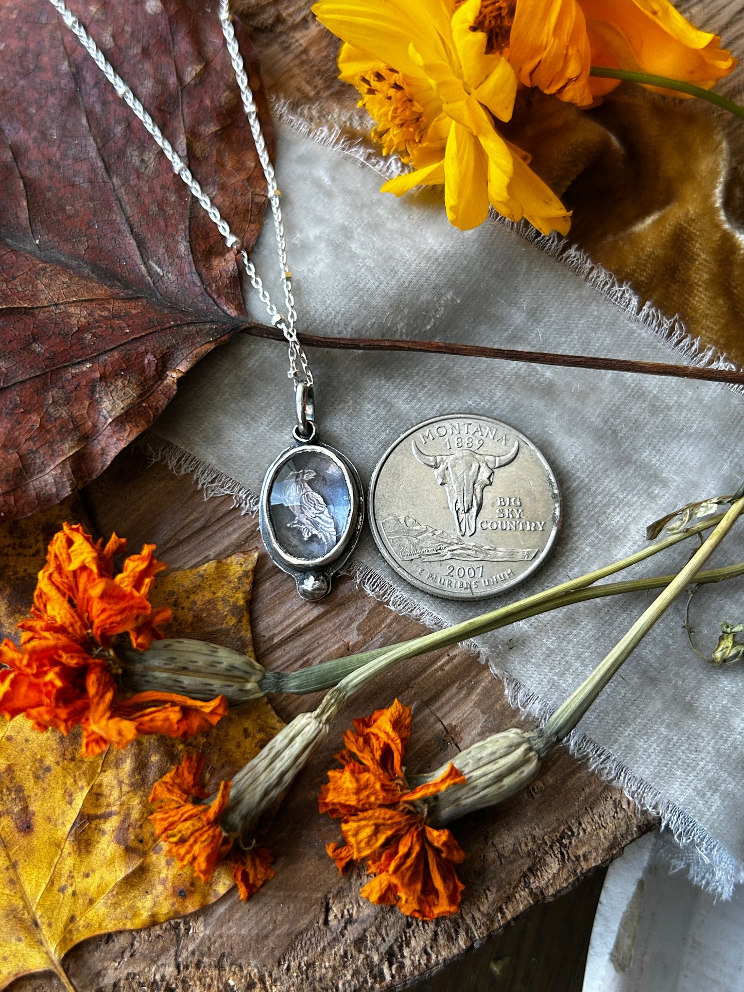 Raven Amethyst necklace- Sterling silver jewelry