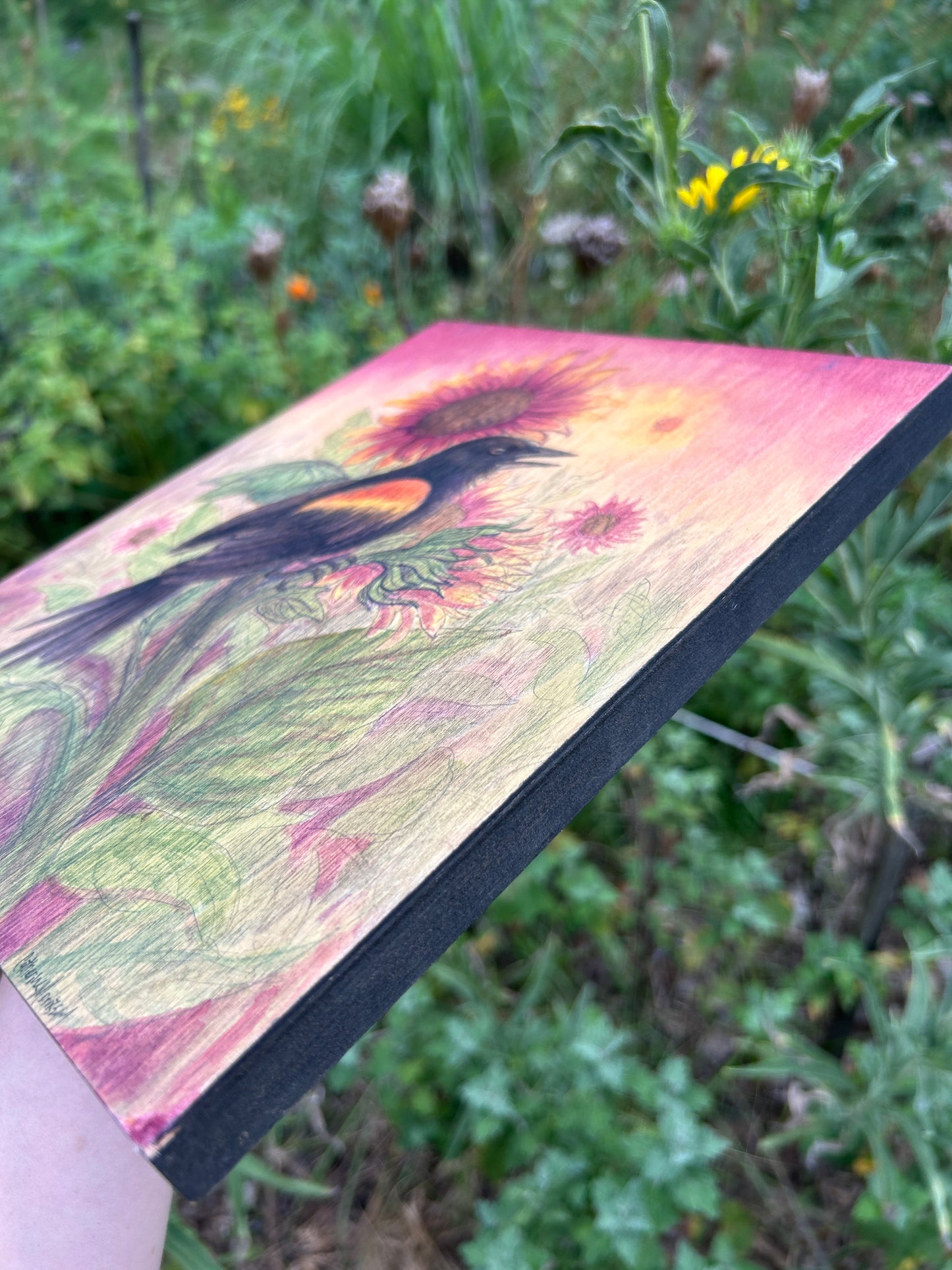 Red winged blackbird harvest sunset with sunflowers- original painting on wood panel