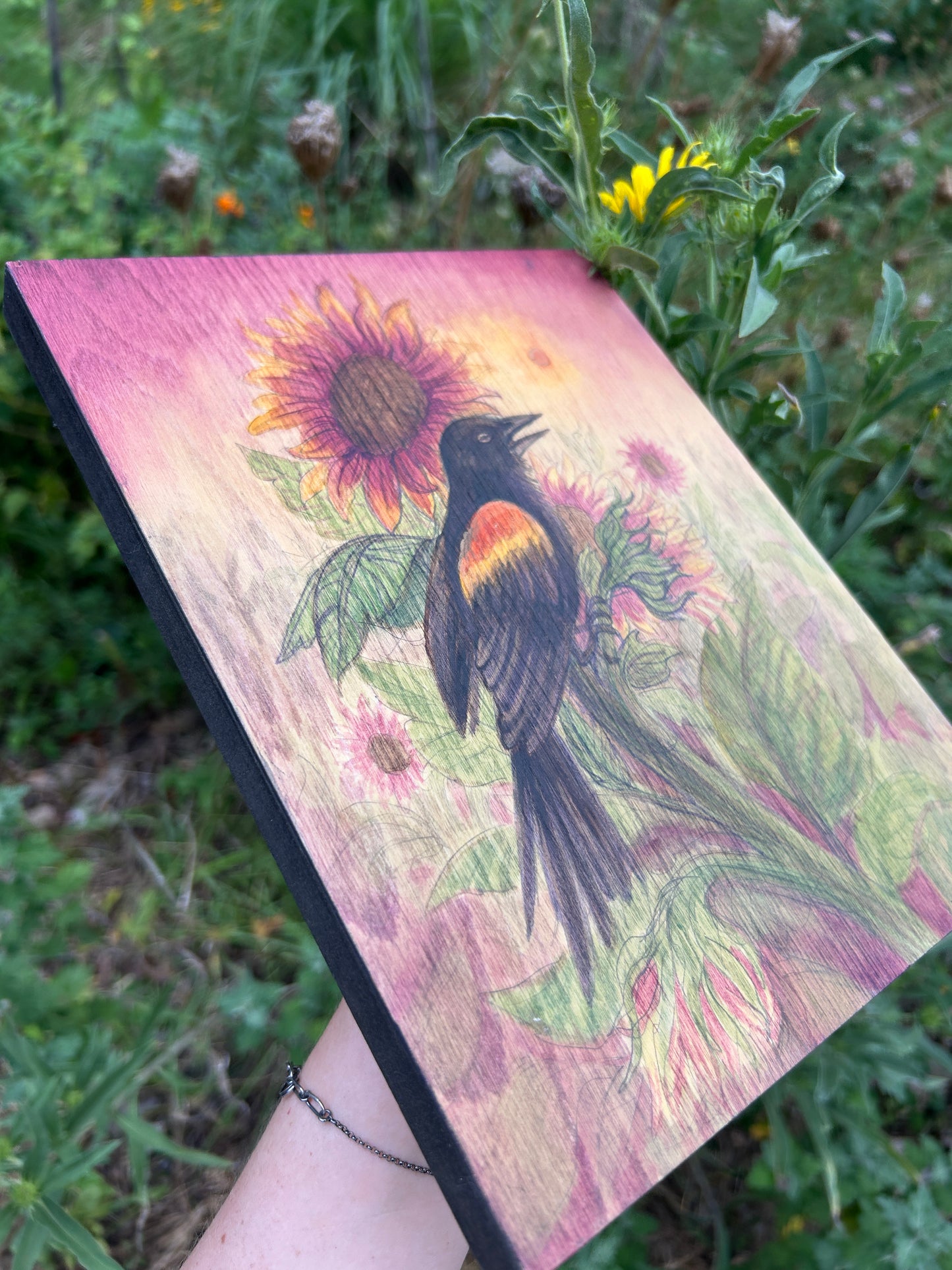 Red winged blackbird harvest sunset with sunflowers- original painting on wood panel