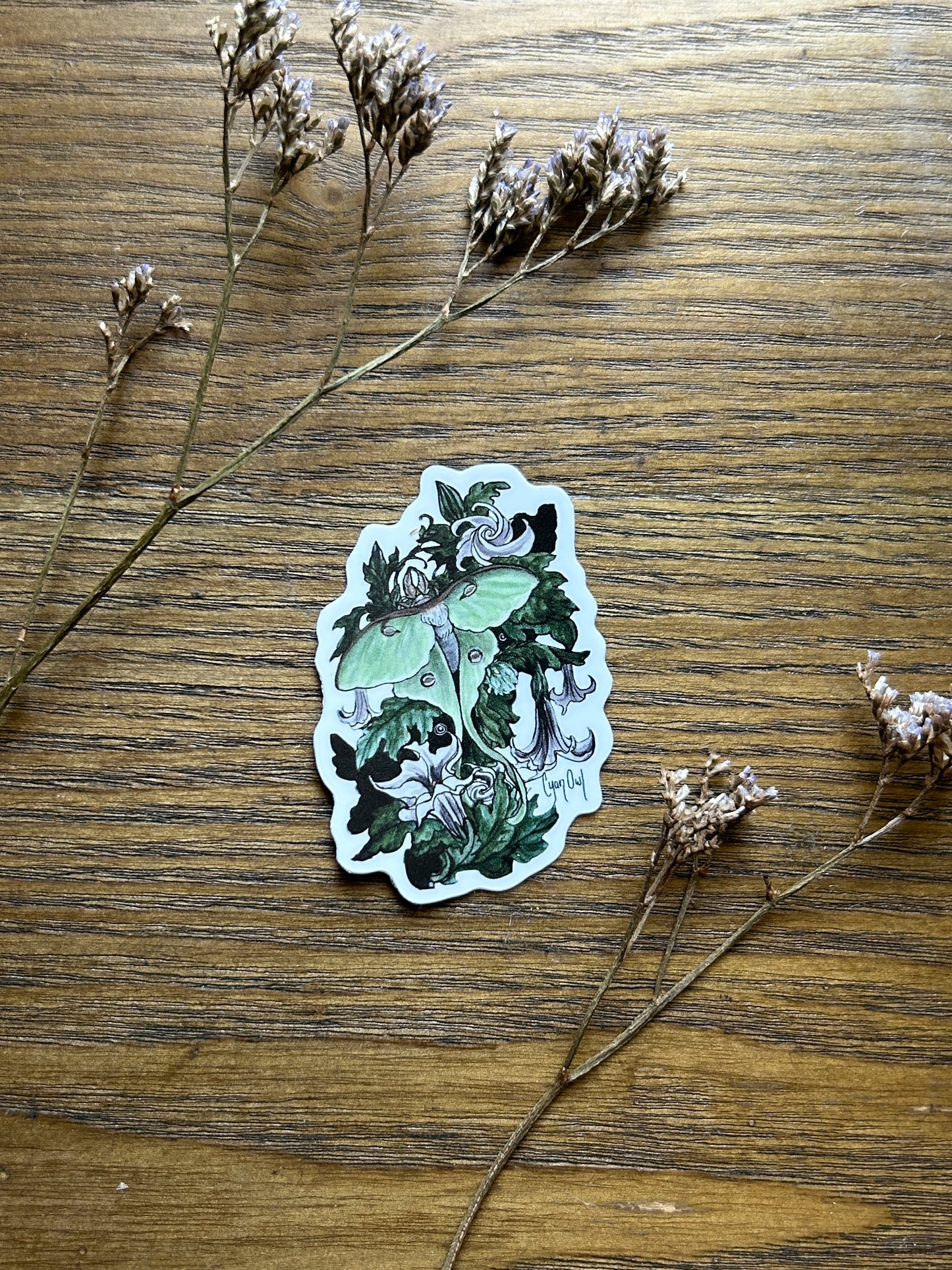 Vinyl Sticker- your choice of wisteria opposum, crow, raccoon with snail, fox, wren, Luna moth