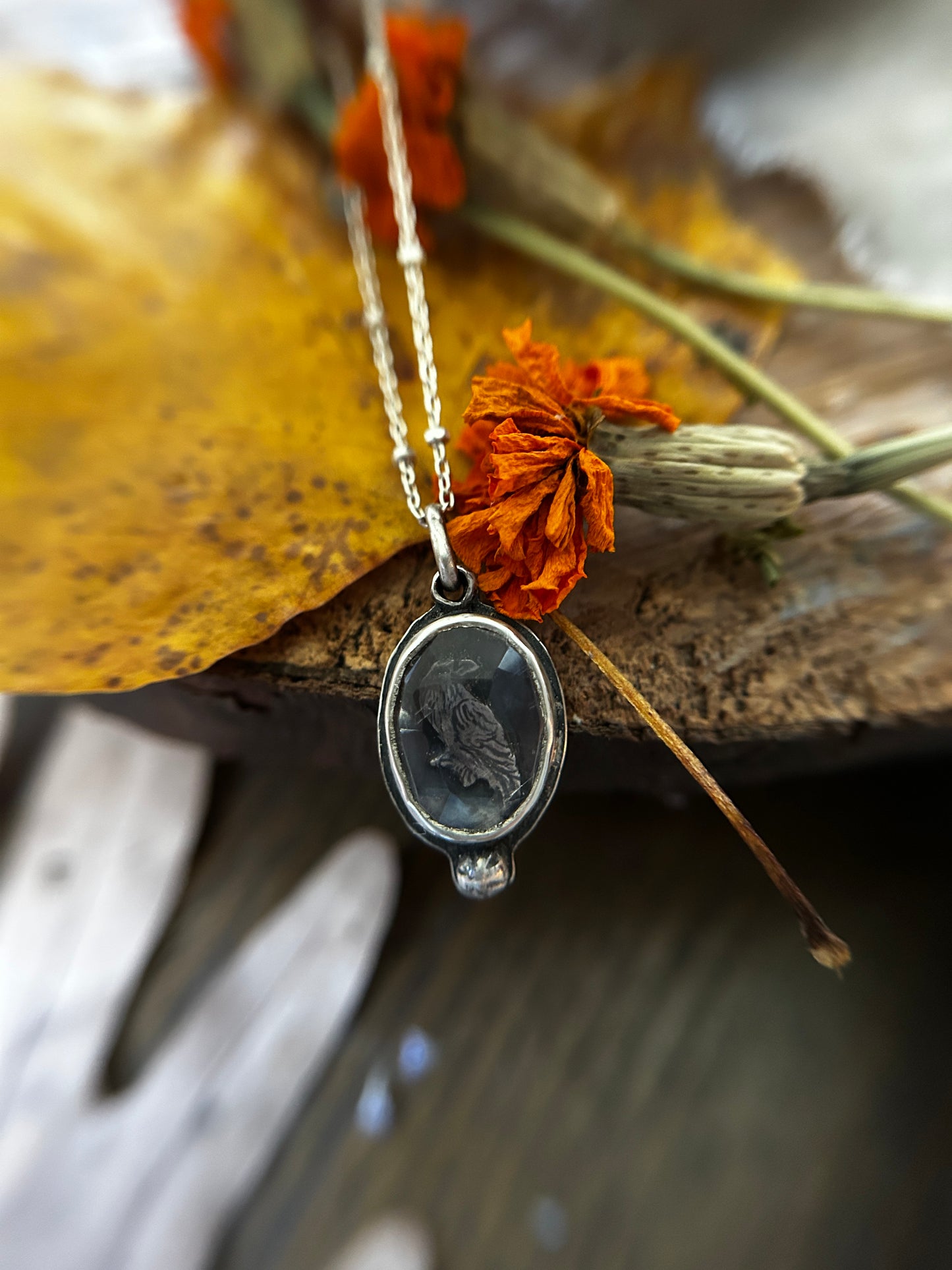 Raven Amethyst necklace- Sterling silver jewelry