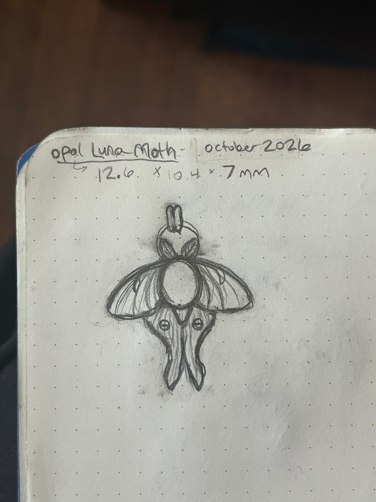 Reserved- custom Luna moth pendant with opal