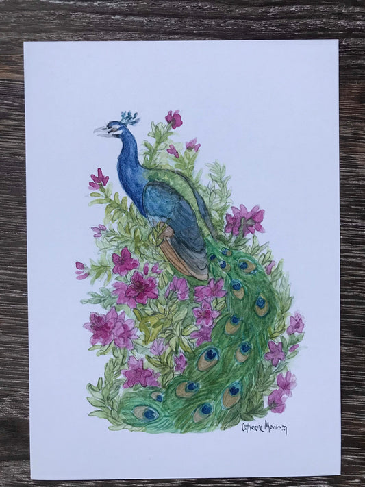 Peacock with azalea flowers art print lowcountry Charleston gardens watercolor bird art 5 by 7 inches home decor gift idea