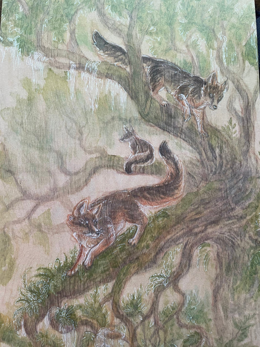 Grey foxes in oak tree art print watercolor painting on wood wall decor animals and plants lowcountry art Spanish moss ferns