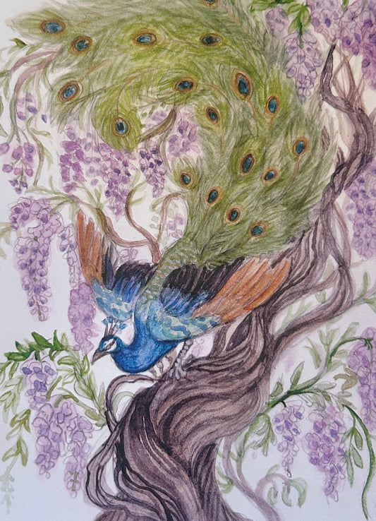 Peacock and blooming wisteria vines art print drawing watercolor ink nature decor purple